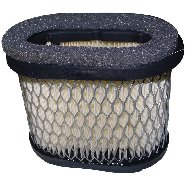 Filtre A AIR Origine Briggs & Stratton référence fournisseur BS697029